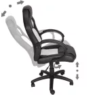 Titangames Gamer szék basic, Fehér (GS-SW110FH)