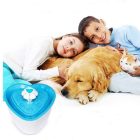 DodoPet Kisállat szökőkút vízszűrővel NTC-CW769