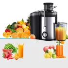 Centrifugás Gyümölcs és Zöldségprés – 800W, 2 Sebességes, Rozsdamentes Acél Szűrővel HOM-306