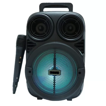 Hordozható 6,5" Bluetooth hangszóró mikrofonnal és LED világítással PRG-266