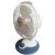 Orion OFD-1609 Asztali ventilátor 